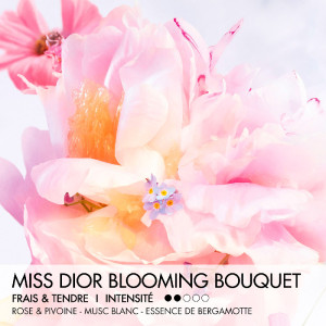 Miss Dior Blooming Bouquet Roller-Pearl - Frisches und blumiges Eau de Toilette Miss Dior Blooming Bouquet Roller-Pearl - Frisches und blumiges Eau de Toilette
